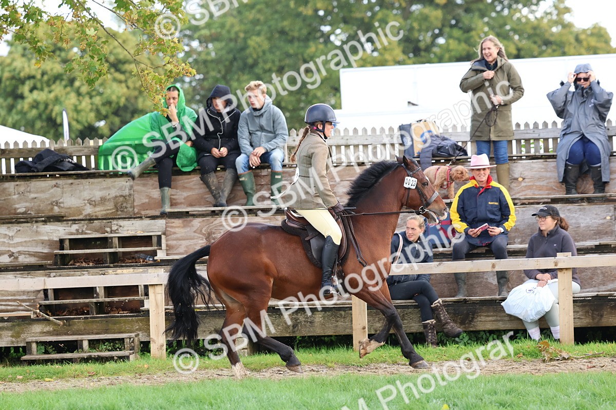 SBM_47646 - S28 - Veteran Ridden