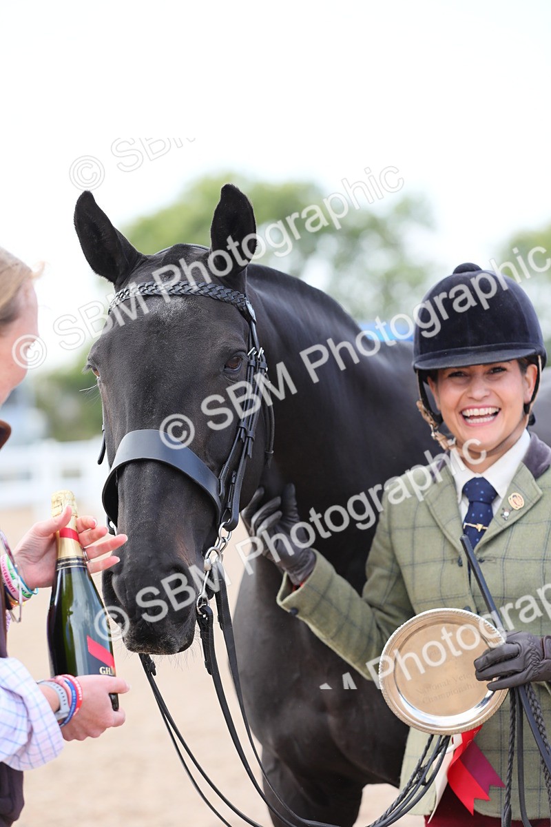 SBM_15849 - Class 312 IH Competition Horse/Pony