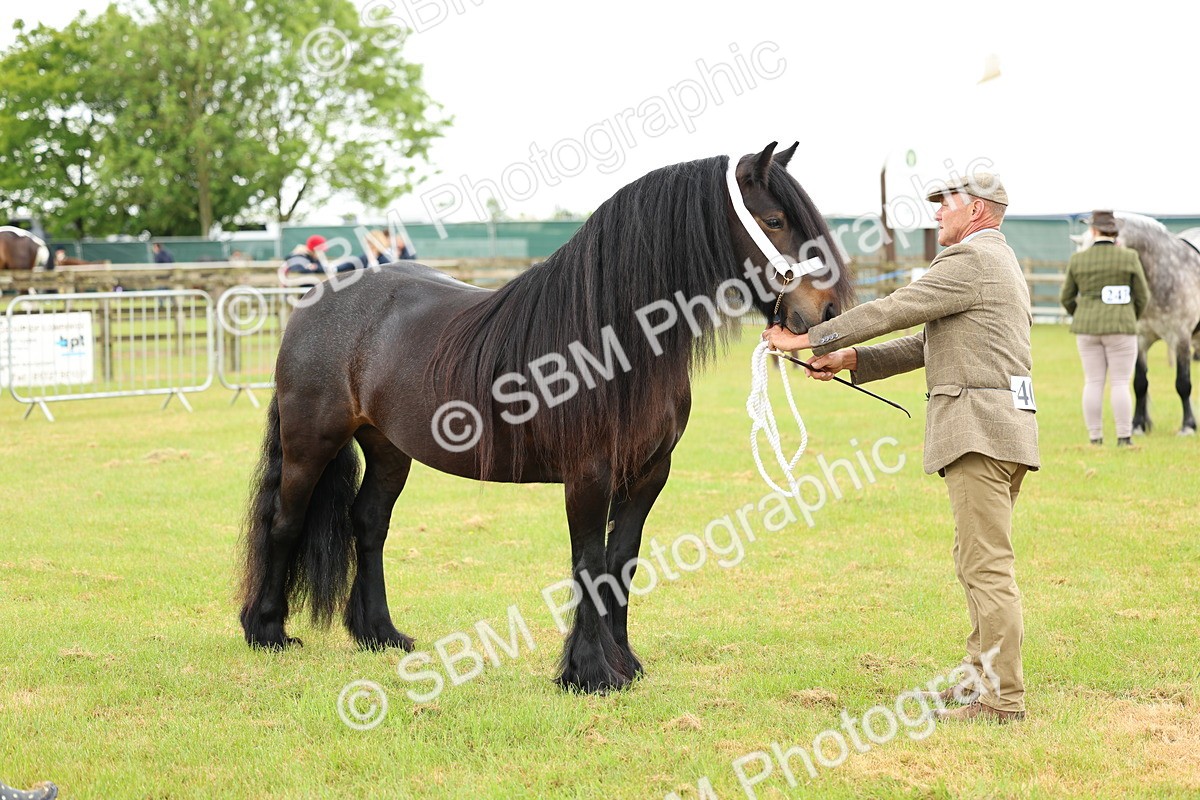 SBM_00515 - Class 58-67 - M&M Non Welsh Pony In hand