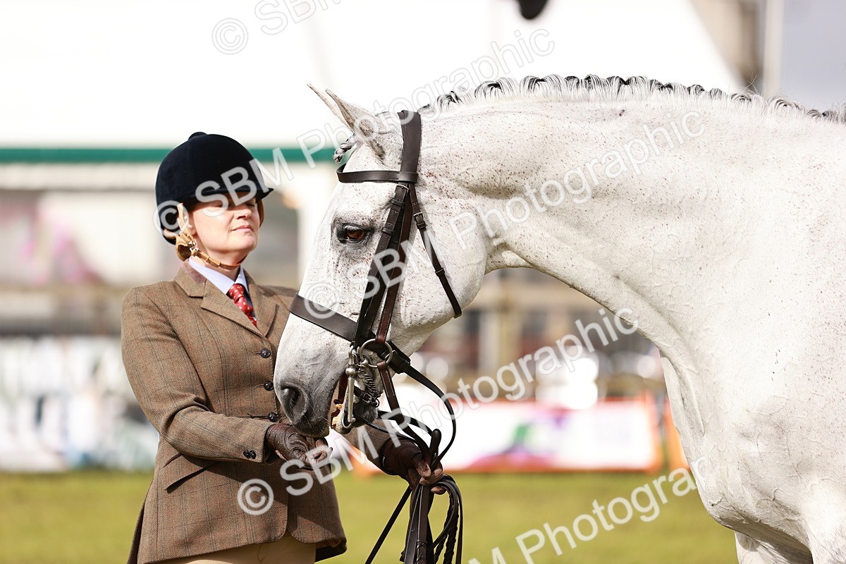 SBM_10878 - Class 81-84 - RIHS Ridden hunters Inc Ladies Hunter