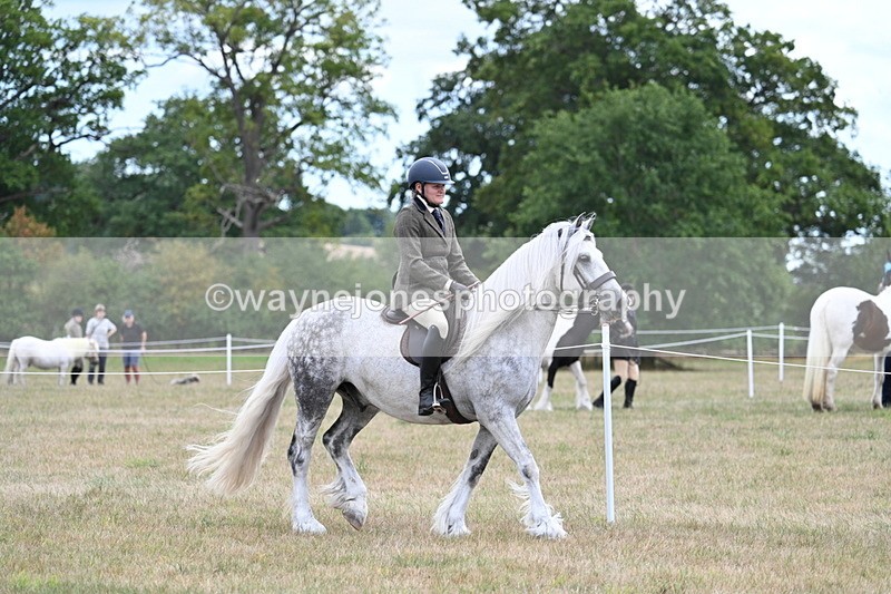 WJ7_4673 - Class 12 Ridden Cob