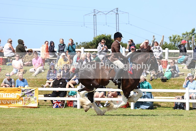 3E7A2903 - Class 13: Heavy Horse Ridden