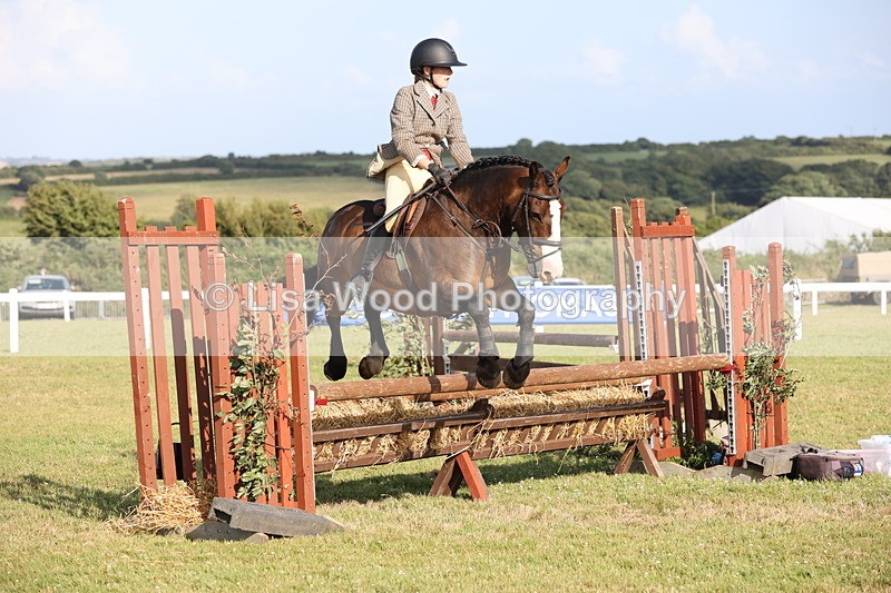 JPP_3231 - Class 21: Working Hunter 80cm