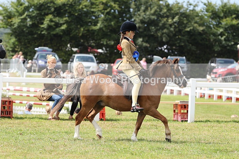 JPP_1619 - Cornish Combination Championship