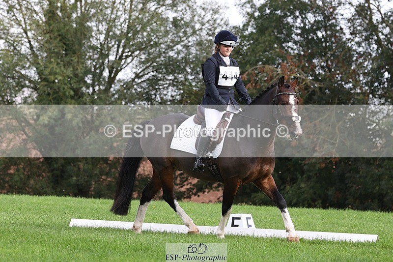 231019-142418-03962 - 444-REDHILL.SKANDEL-Emma.Stokes-DR