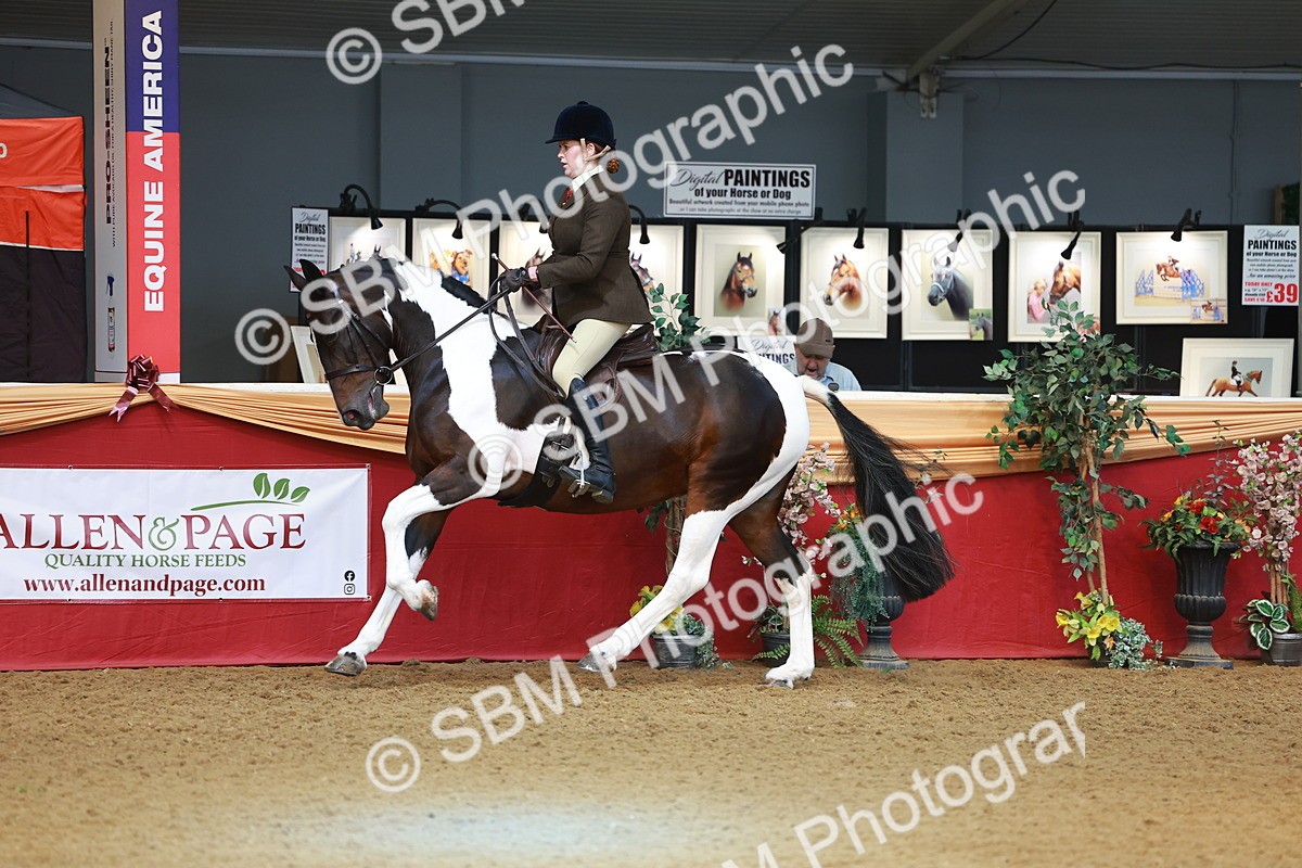 SBM_09769 - Class 102 - HOYS Veteran Qualifier - Ridden Veteran