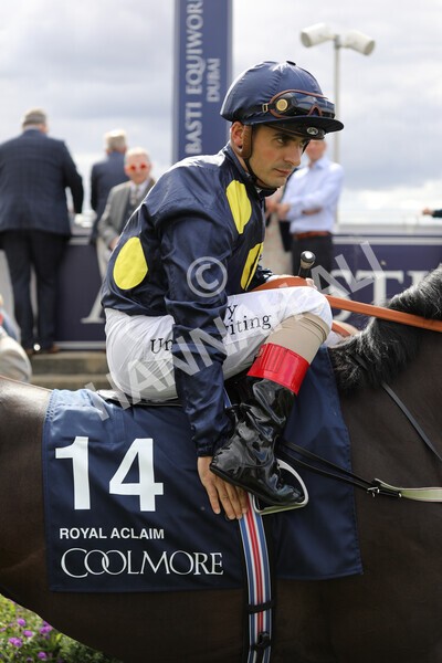 yr19082022r4-41 - Race 4 3.35pm Coolmore Wootton Bassett Nunthorpe Stakes (British Champion Series Race)