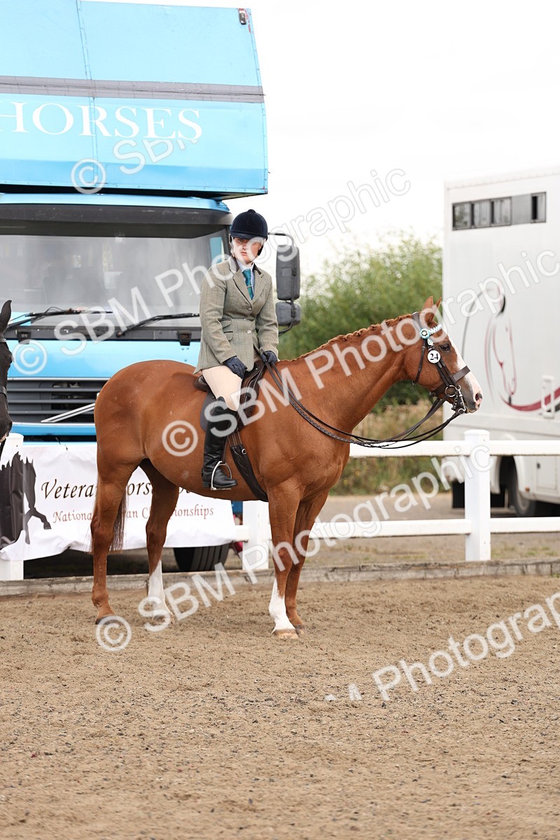 SBM_02932 - Class 53 - Ridden Competition Horse/Pony
