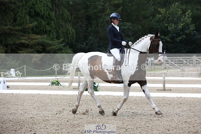 230812-112351-03752 - Cls 5 Novice Bronze 11.15 to 12.50 break