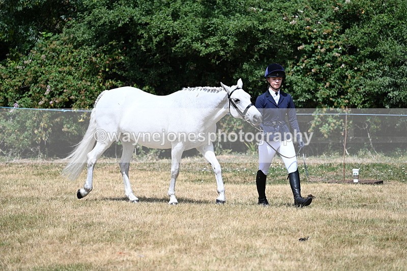 WJ7_1597 - Class 4 Prettiest Mare up to 14.2hh in hand