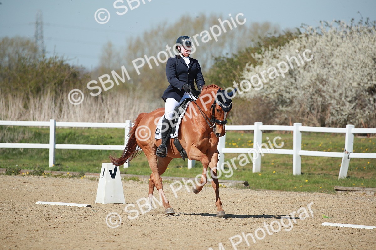 SJ3_1146 - Class 8 - E5