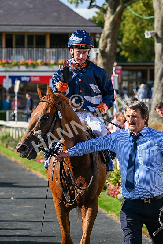 220826-Race 6-Sale Shark-1694 - Race 6 16.45pm Julia Graves Roses Stakes