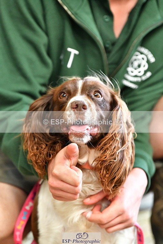 230804A-094757-02199 - Stable Shots