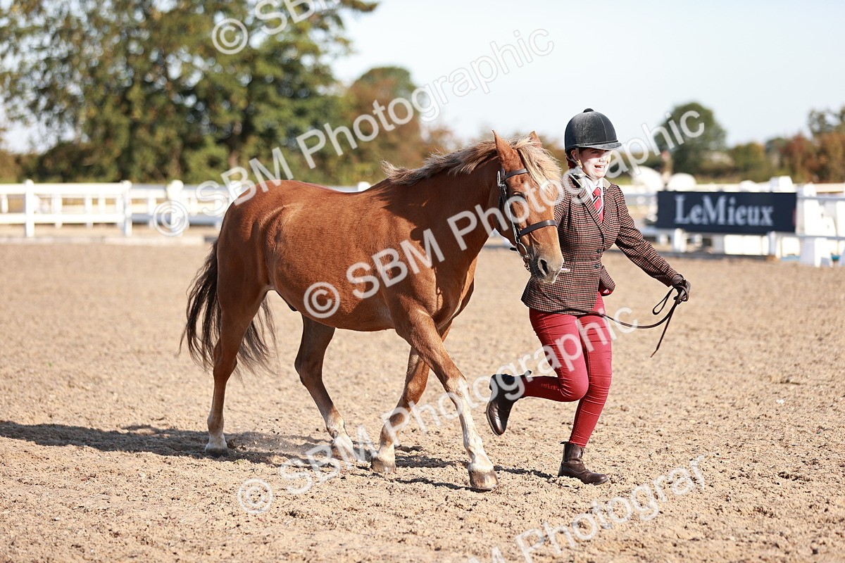 SBM_11403 - Class 402 - IH  Veteran pony