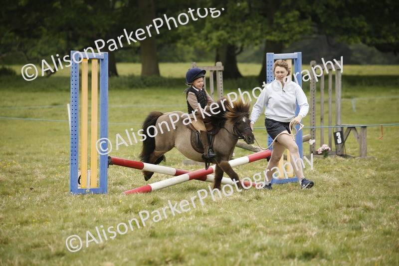 20250517-0256 - Class 1 - 30cm On Lead Rein