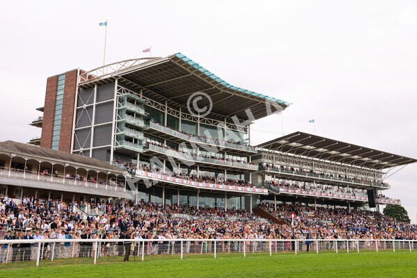 yr23072022r5-52 - Race 5 4.25pm Sky Bet UK's No1 Betting App Stakes