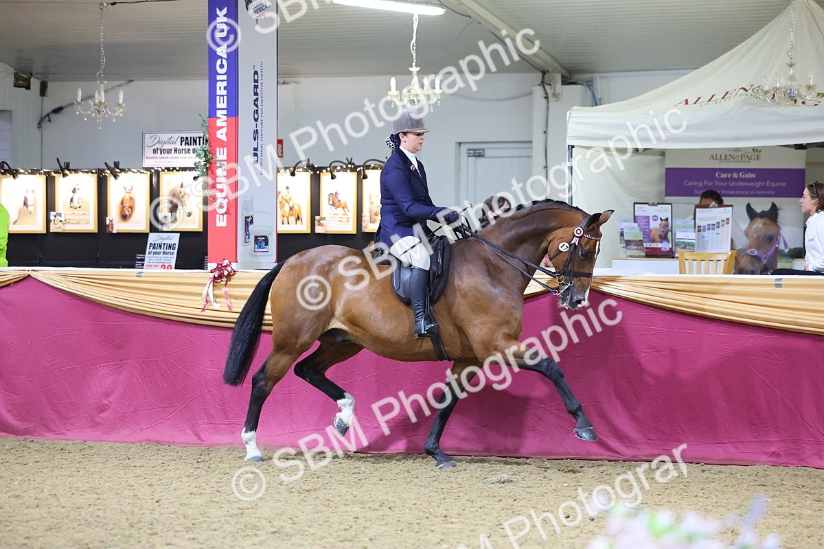 SBM_19132 - Class I Competition/ Riding Club Champ