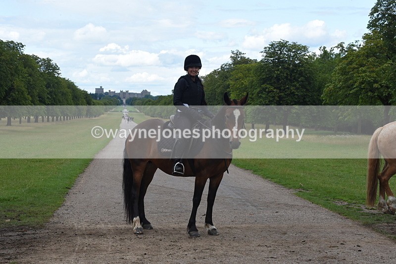 TT3_0530 - Time at Crossing 14:53 to 1526