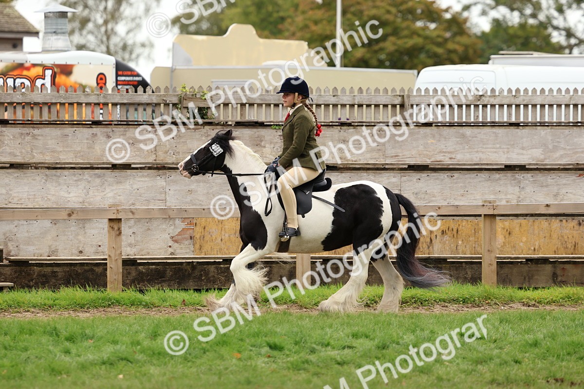 SBM_64514 - S58 - Coloured Pony Ridden