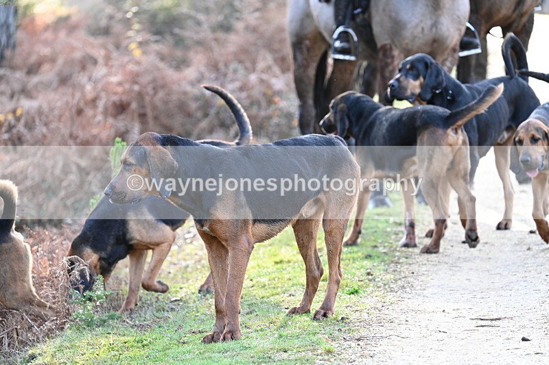 WJ7_7573 - Line 3 (no line 4 or 5)