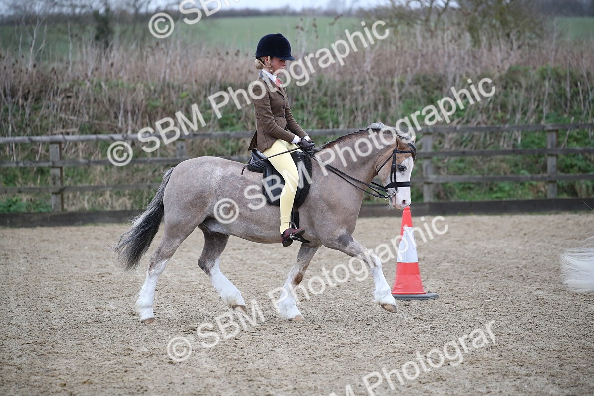 SBM_005905 - Class 10-13 - RIHS Small Large Breeds