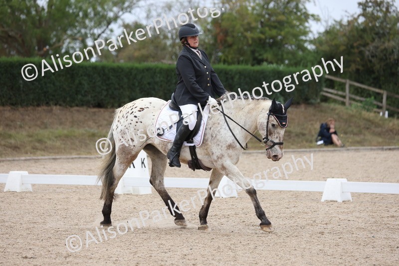 20250820-0285 - Class 9 - My Quest Prelim 3