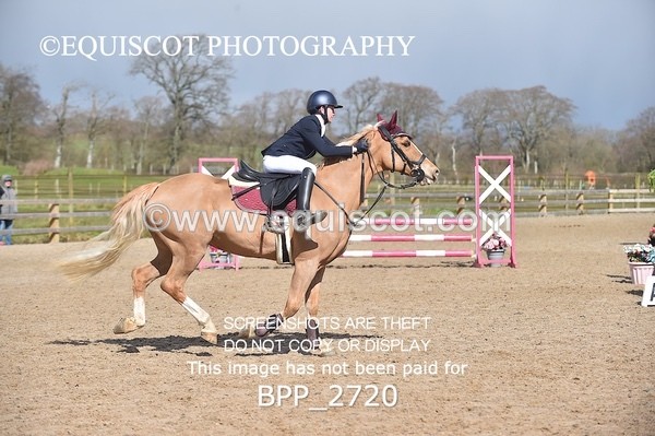 BPP_2720 - CLASS 29 STX-UK Pony BritiNovice / 0.80m Open