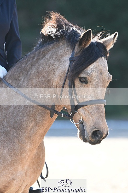 231110-120921-00597 - Cls 3 Novice 22