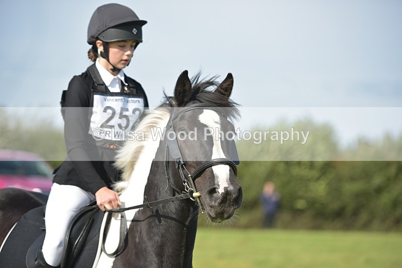 RAY_7603 - Class 2B: Trekenning Open: Dressage