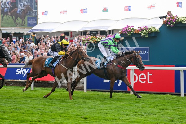 260725-Race 6-Billyb-7907 - Race 6 4.25pm Sky Bet Go-Racing-In-Yorkshire Summer Festival Handicap