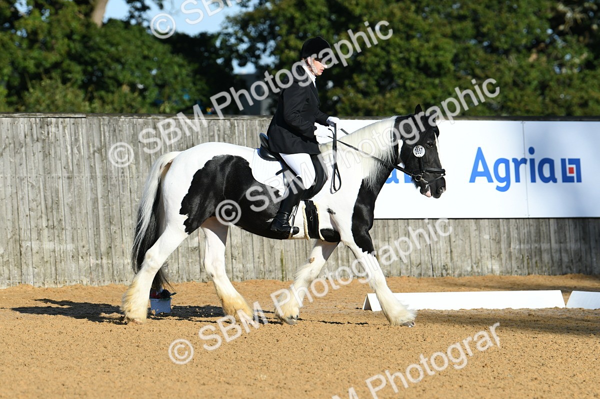 SBM_14442_D4 - Small Tour Championship - Intro B - Theresa Huttom