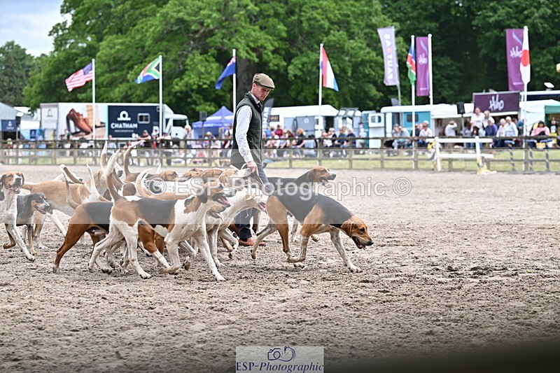 250524A-152217-12695 - East Devon Hounds