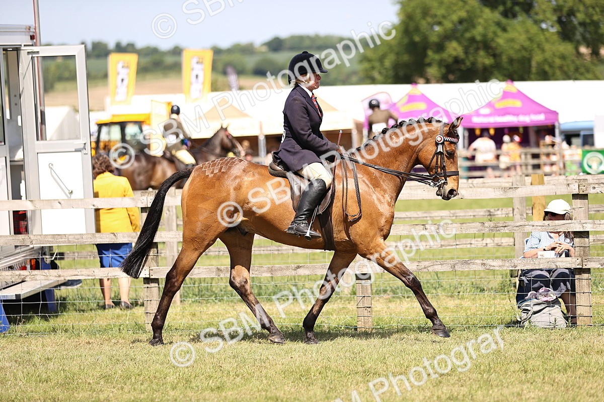 SBM_17975 - Class 81-83 - TSR Ridden Amateur of the Year - Horses