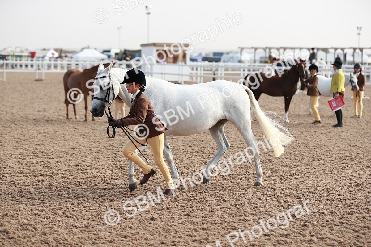 SBM_09893 - Class 203 Young Handler, 10 years and under