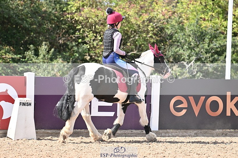 250821B-143021-00788 - Group D - Thomasina