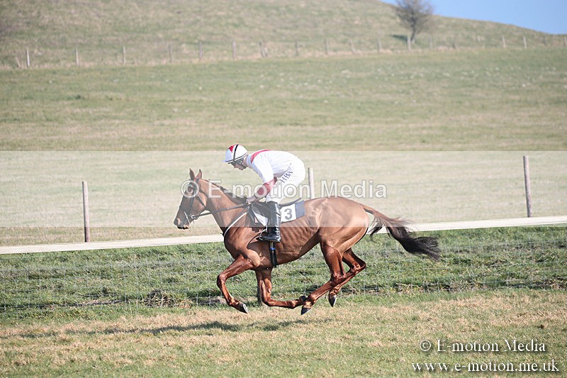 PtP 230219 176 - Vine & Craven Point-To-Point - Barbury 23/02/19