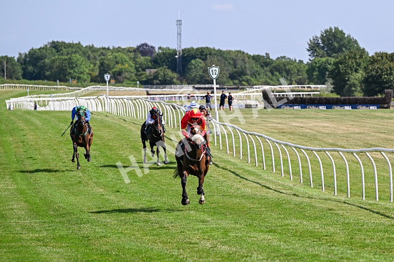 080726-Race 5-Sugarpiehoneybunch-7530 - Race 5 16.00pm Bet At racingtv.com Handicap