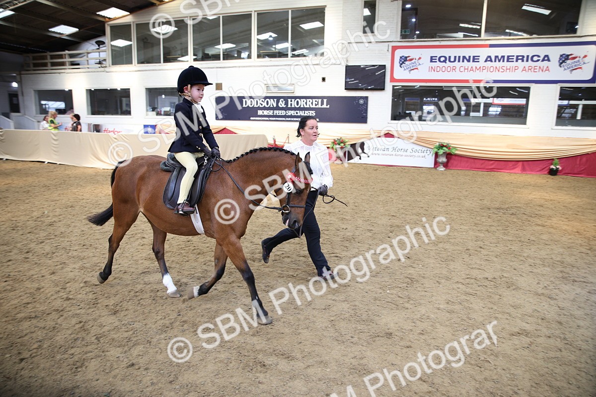 SBM_24272 - Class 905 - Supreme Final - Ridden Veteran