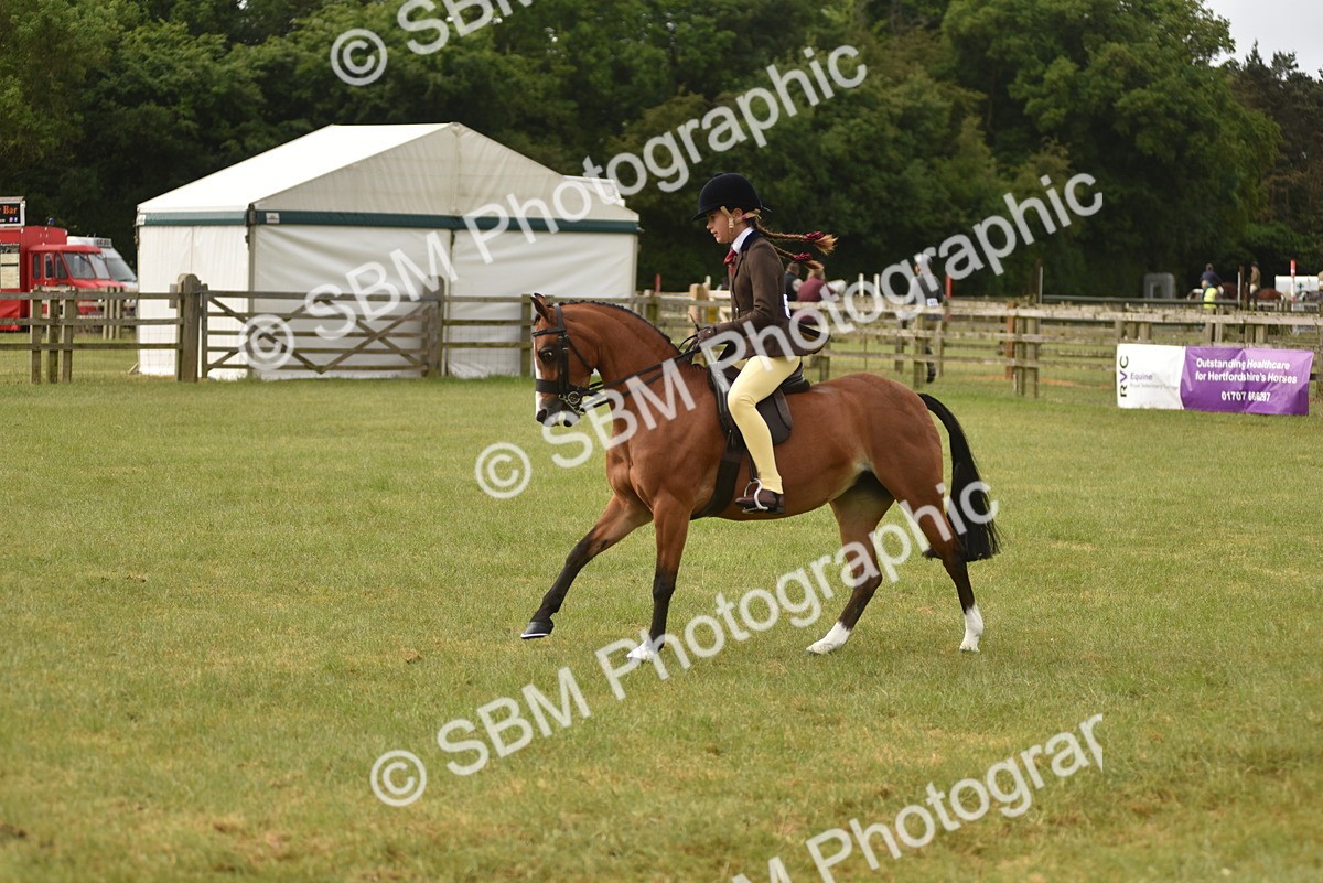 SBM_10699 - Class 110-112 - LIHS BSPS Performance Pones