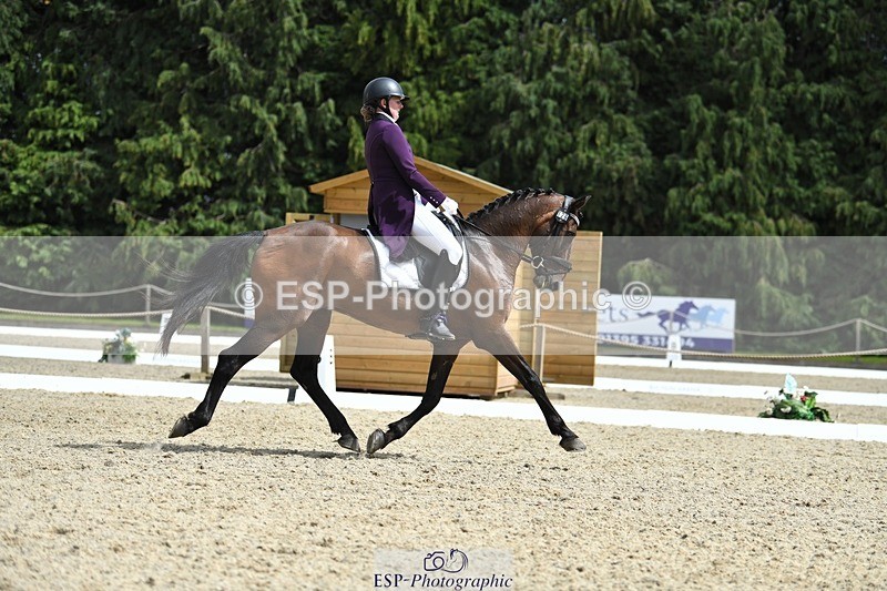 230812-134329-04491 - Cls 7 FEI PSG Bronze