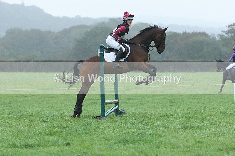 JPP_4998 - Class 1: 65cm : Showjumping