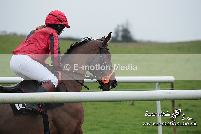 PtP 031223 659 - Wheatland Hunt PtP Chaddesley Races 03/12/23
