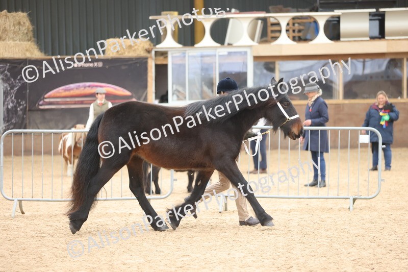 20251109-0922 - Class 26 - 2 and 4 Year Olds