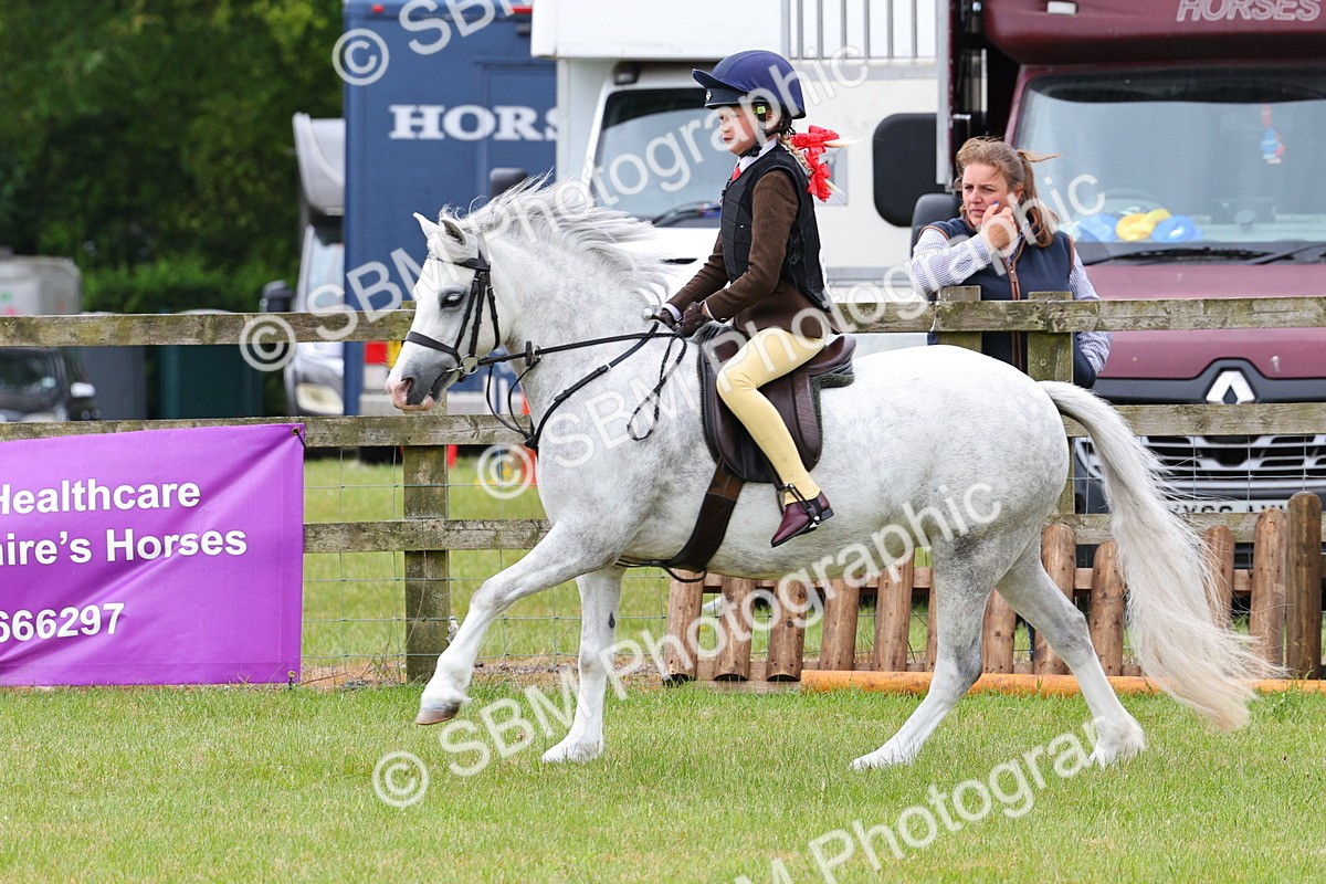 SBM_08629 - Class 42-43 - LIHS BSPS Heritage Working Sports Pony