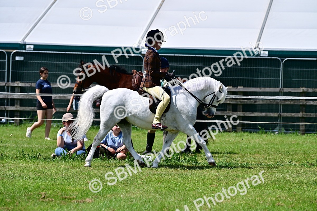 SBM_07756 - Class 61-62 - TSR  M&M Ridden Amateur of the Year