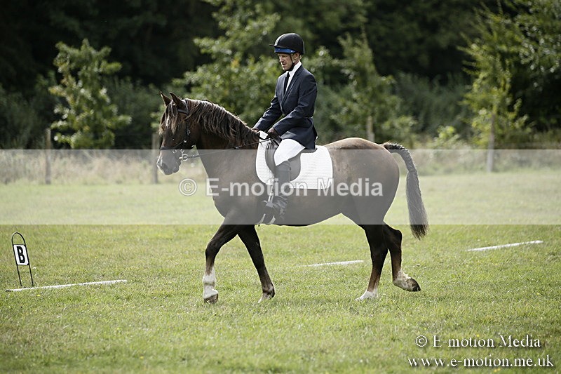 BVR080918 169 - BVRC Novice Dressage & CR 08/09/18