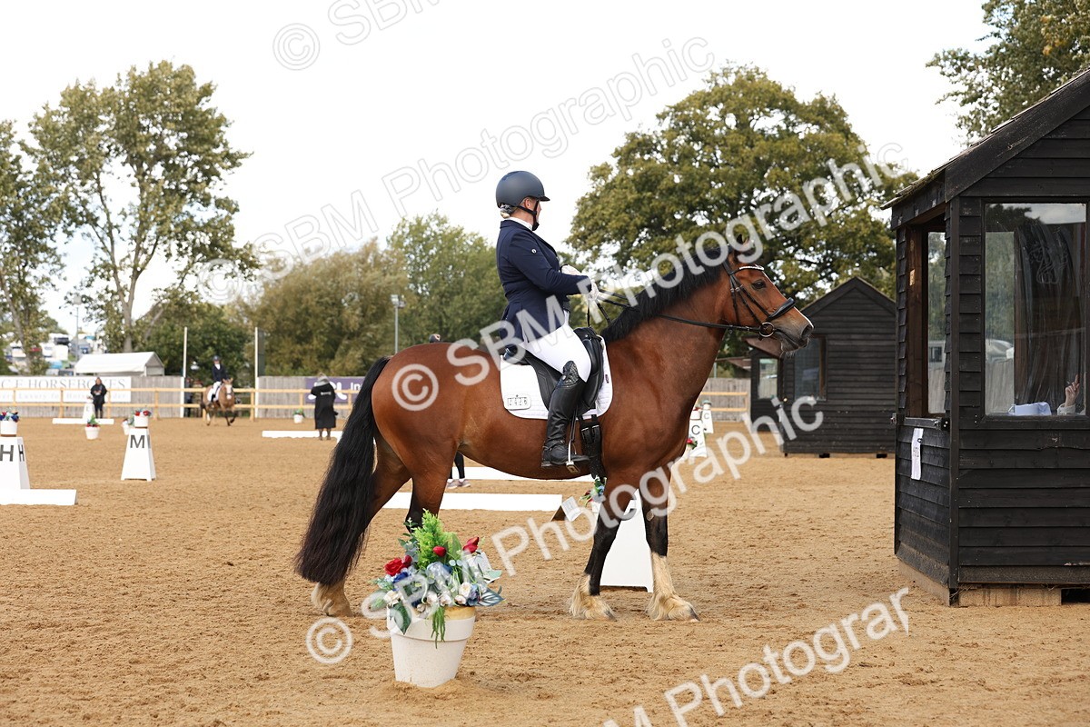 SBM_47459 - D12 - Small Tour Championship prelim 2