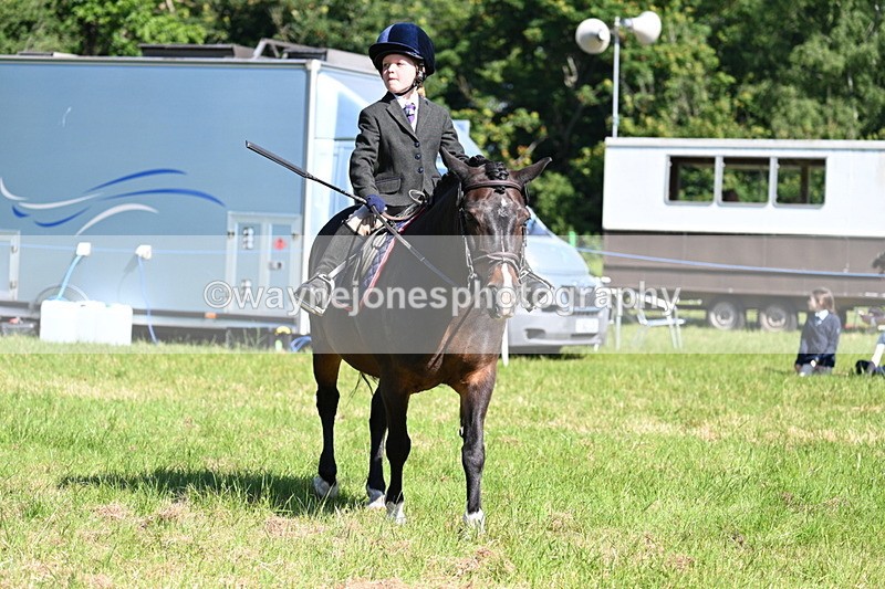 WJ7_0585 - Class 8 First Rally Pony