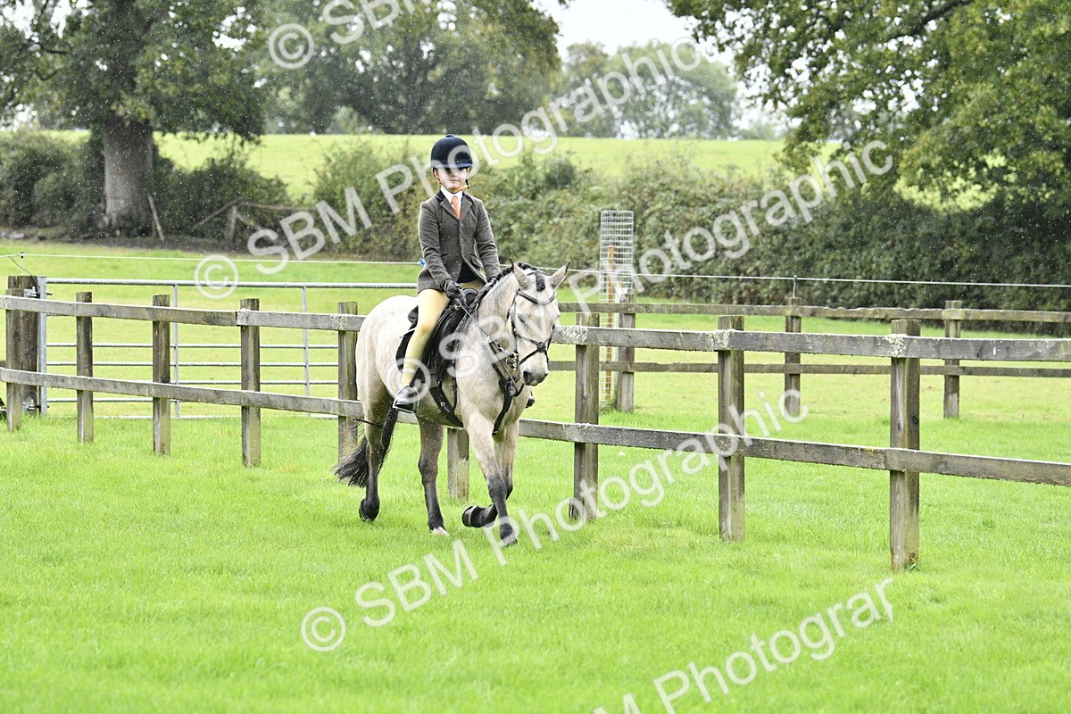 SBM_35536 - S30 - Nursery Stakes Working Hunter Pony