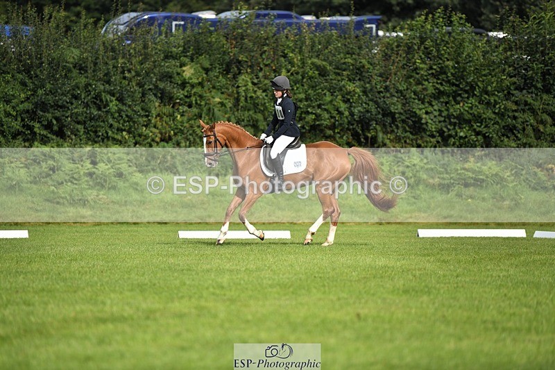 230826-093223-15134 - Sections C & D 9 to 10am